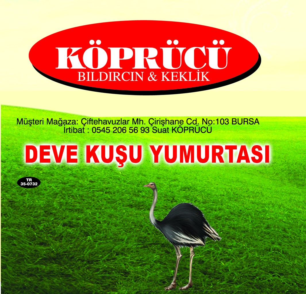 DEVE KUŞU YUMURTA