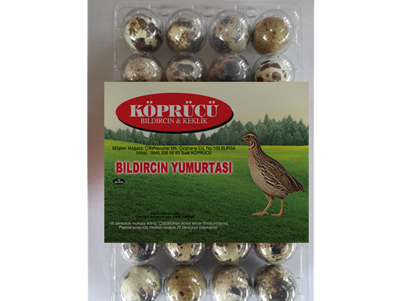 BILDIRCIN YUMURTASI